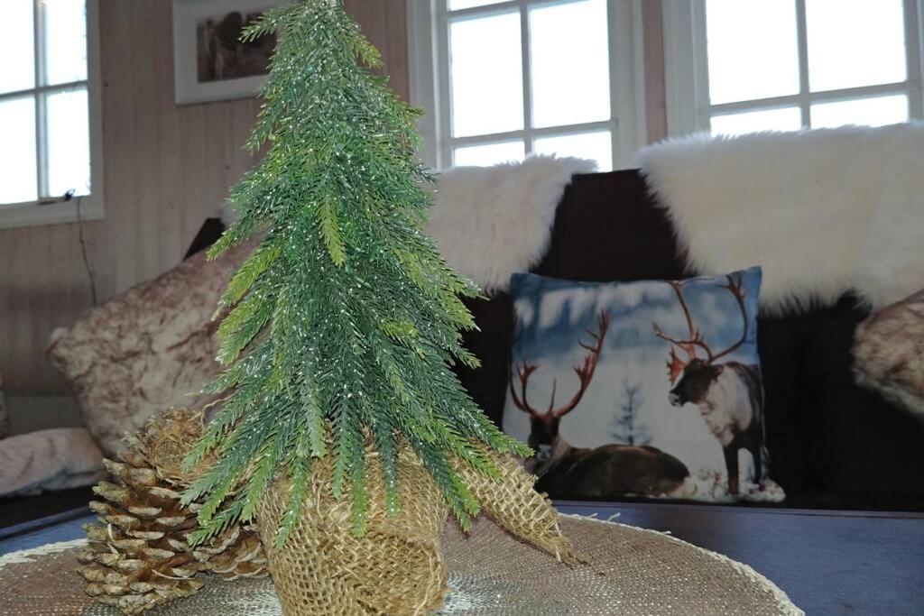 Holiday home Cosy Cottage-alfabakki-with Hot Tub Stori-Bakki